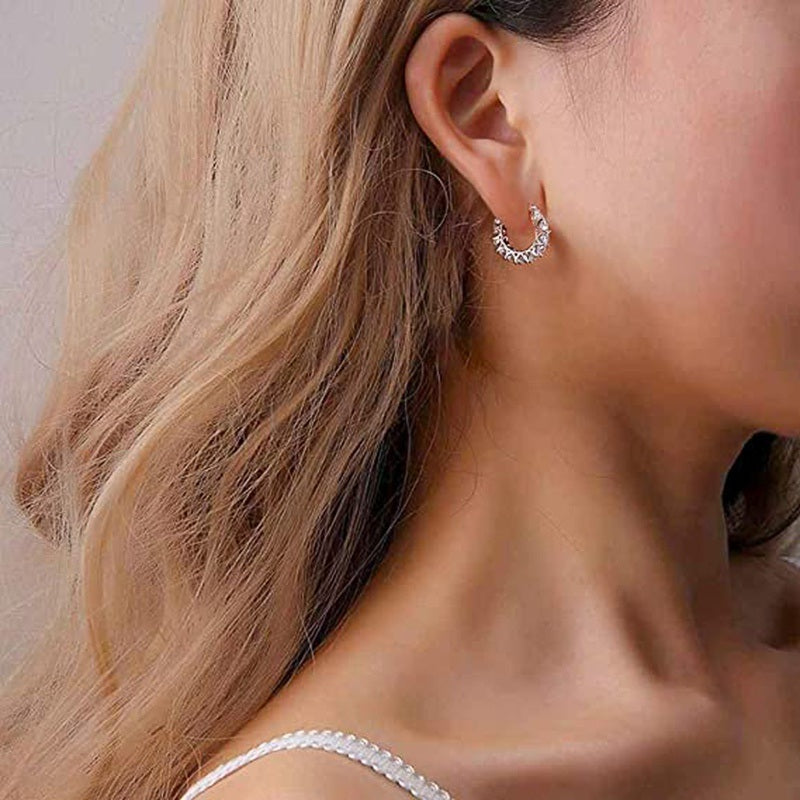 Exquisite Zircon Hoop Earrings