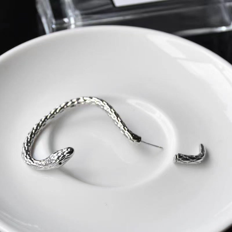 Wind winding Ear-Hook Snake-Shaped Earrings Couple Design