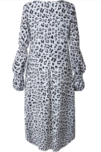 Hot Spring and Autumn Sexy Leopard Print Long Sleeve Irregular Women Dress