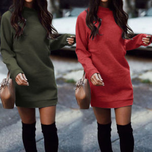 Women Casual Dress Long Sleeve Hoodie Winter Warm Thicken Jumper Sweater Dress Roll Pull