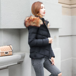 winter new fashion women's cotton short cropped hooded cotton jacket down jacket