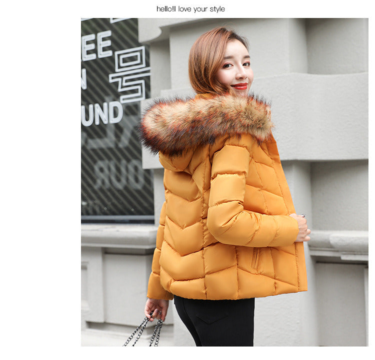 winter new fashion women's cotton short cropped hooded cotton jacket down jacket