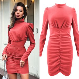 Best Selling Autumn and Winter Women's High Collar Long Sleeve Bag Hip Pleated Dress