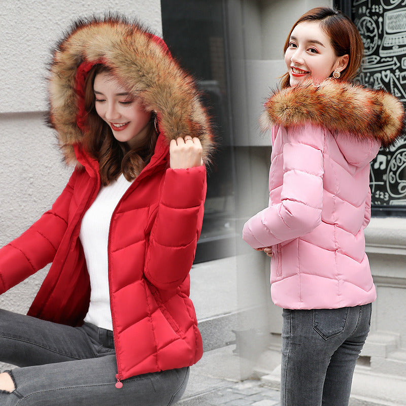 winter new fashion women's cotton short cropped hooded cotton jacket down jacket