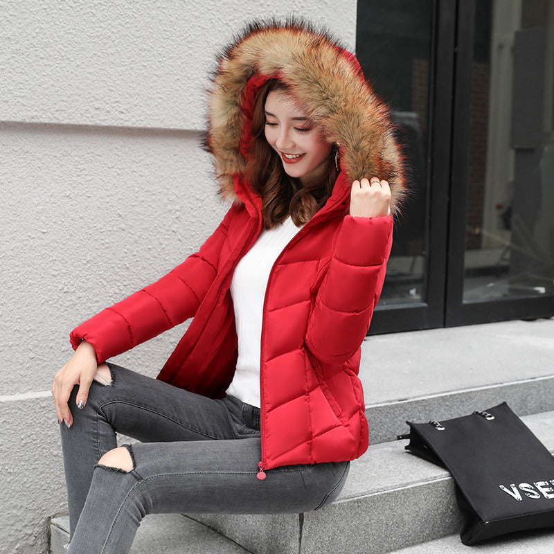 winter new fashion women's cotton short cropped hooded cotton jacket down jacket